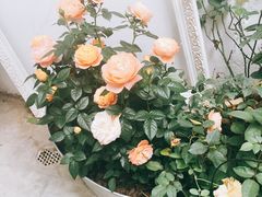 -拾壹cafe·工作室