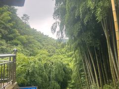 -藏龙百瀑风景区