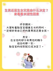 -安馨无忧月子中心(青秀店)