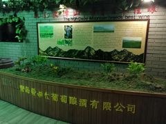 -青岛葡萄酒博物馆