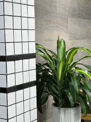 -苏奇发型·烫发染发