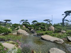 -罗红摄影艺术馆