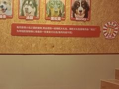 -和它·交个朋友·狗咖猫咖(爱琴海店)