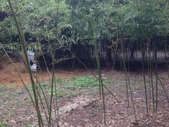 -鸿华度假酒店