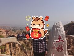 -元谋土林景区(物茂土林)