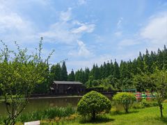 -黄海国家森林公园