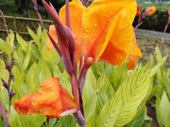 -白塘生态植物园