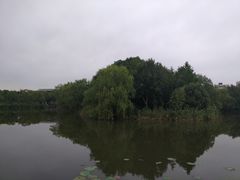 -新江湾城公园