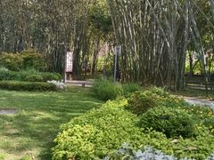 -望江楼公园