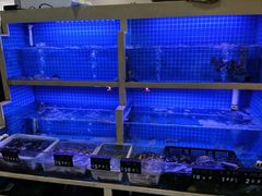 -威海渔村(静安旗舰店)