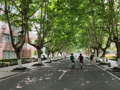 -四川农业大学(雅安校区)