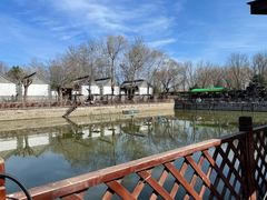 -尚庄度假村·庭台树下·户外烧烤·团建CS·轰趴营地(上庄水库店)