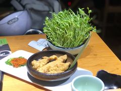有机豆苗-洪氏嗨捞·广东猪肚鸡·椰子鸡火锅(西咸万象城店)