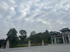 -王借岗森林公园