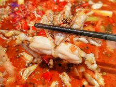 辣牛蛙锅-渝蛙馆(新百店)