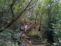 -大面山