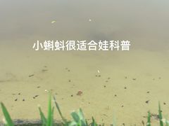 -坪山湿地公园
