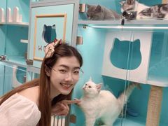 -猫宠乐园·专业洗护