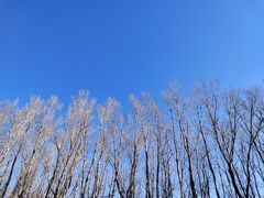 -野鸭湖国家湿地公园