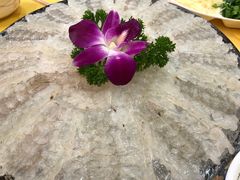 -官塘陈记鱼生·潮汕砂锅粥·牛肉火锅(潮枫路总店)