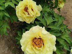 -国家植物园南园