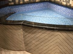 -MOLLY'S萌宠生活馆