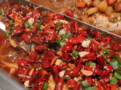 -尚渔味双拼烤鱼(悦界广场店)