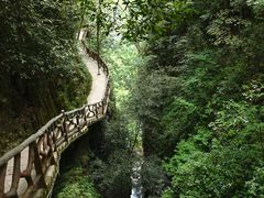 -鹿院坪生态旅游景区