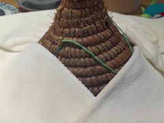 -云尊府云南菜·蒸汽石锅鱼(五棵松华熙店)