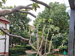 -上海长兴岛郊野公园