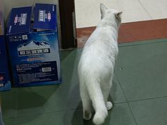 -南雄雄州土菜餐厅(粤北大厦店)