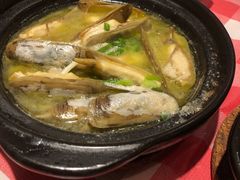 长街蛏子-好爸爸(箕漕街店)