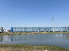 -杭州湾海上花田景区