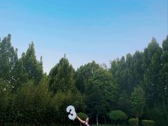 -禧室Joyous Lounge(禧园店)