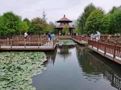 -五缘湾湿地公园