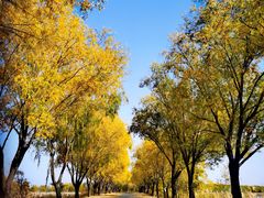 -野鸭湖国家湿地公园