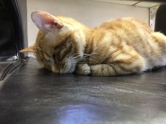 -幸福蓝海和乐影院(吴江吾悦广场店)