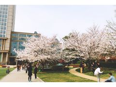 -复旦大学光华楼