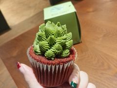 多肉蛋糕-BON CAKE(华贸购物中心店)