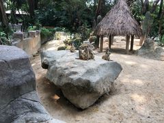 -广州长隆野生动物世界