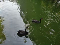 -广东茂名森林公园