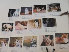-平行世界·猫咖(首经贸店)