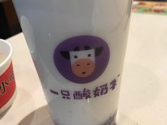 -一只酸奶牛(八一路店)