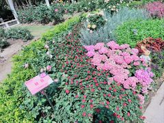 -人民公园(罗湖区)