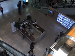 -上海市东方医院(总院)