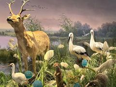 -湖南省地质博物馆