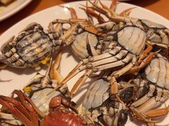 -视界美食自助餐厅·石家庄希尔顿酒店