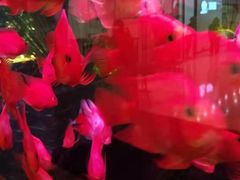 景观位-味界·精致赣菜(招商花园城店)