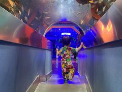 -石家庄海洋公园