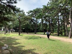 -海云台海滩